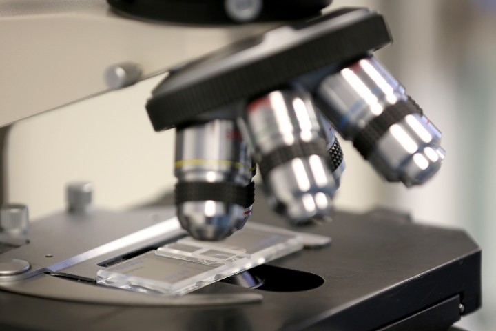 Те са избрани от жури с председател доц Елиза Стефанова