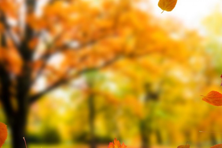 Днес ще бъде облачно Около и след обяд на места