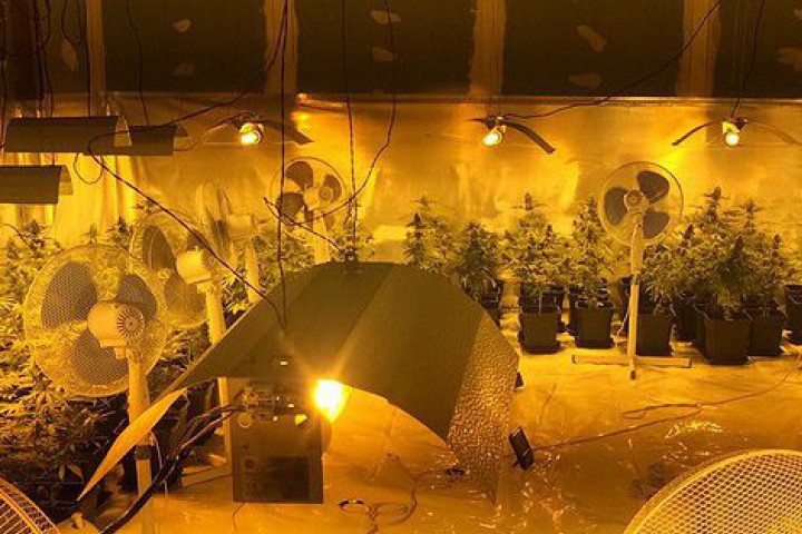 Те са задържани при специализирана операция на ГДБОП и Специализираната