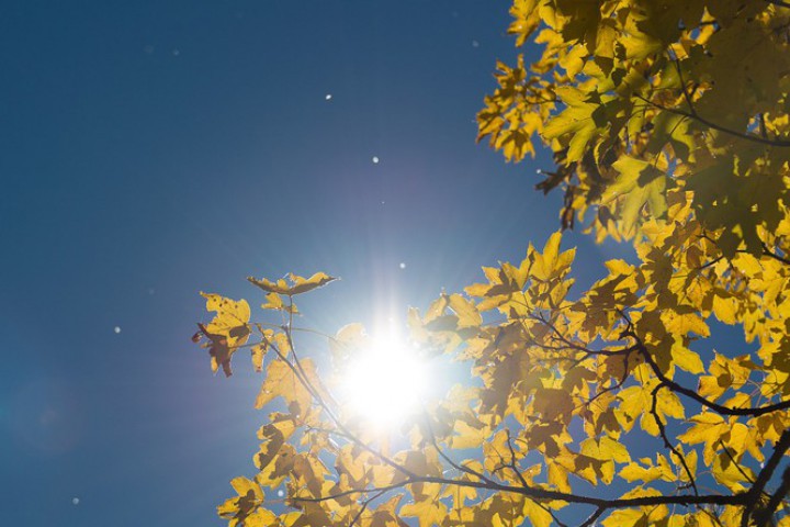 Днес ще бъде слънчево с висока облачност и почти тихо
