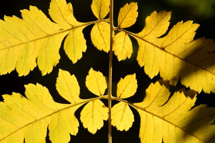 Това съобщи пред БТА Красимир Стоев синоптик в Националния институт