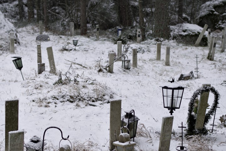 В резултат 30 нови гробища за домашни любимци са създадени