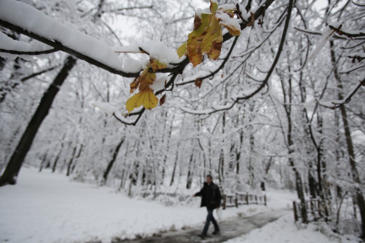 Температурите през последния месец на годината ще бъдат малко по