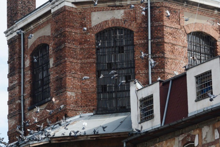 Част от хората излежаващи присъди в Централния софийски затвор твърдят