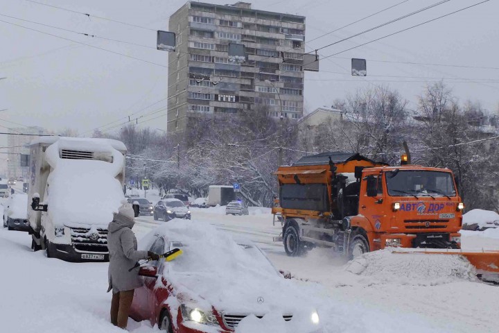 Двама души са пострадали от паднало дърво а други 2